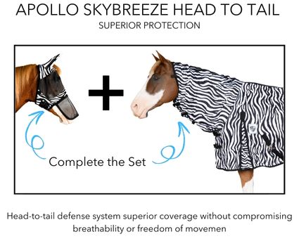 Apollo Skybreeze Head to Tail