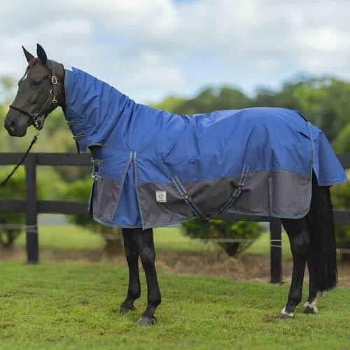 Delzani 'Montana' 1200D 200Gr Winter Turnout  Neck Combo Rug - Navy